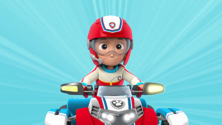 paw patrol ryder helmet