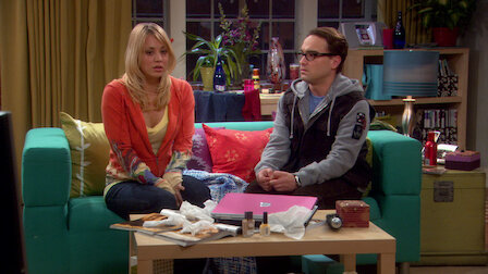 the big bang theory netflix france