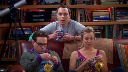 the big bang theory netflix france