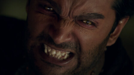 Beauty The Beast Netflix Beauty The Beast Netflix