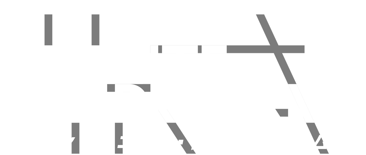 Infinite Dendrogram インフィニット デンドログラム Netflix