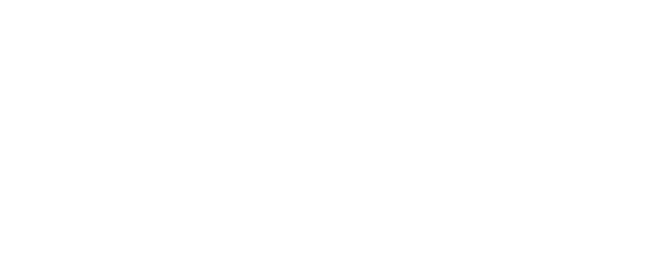 Killer Elite Netflix