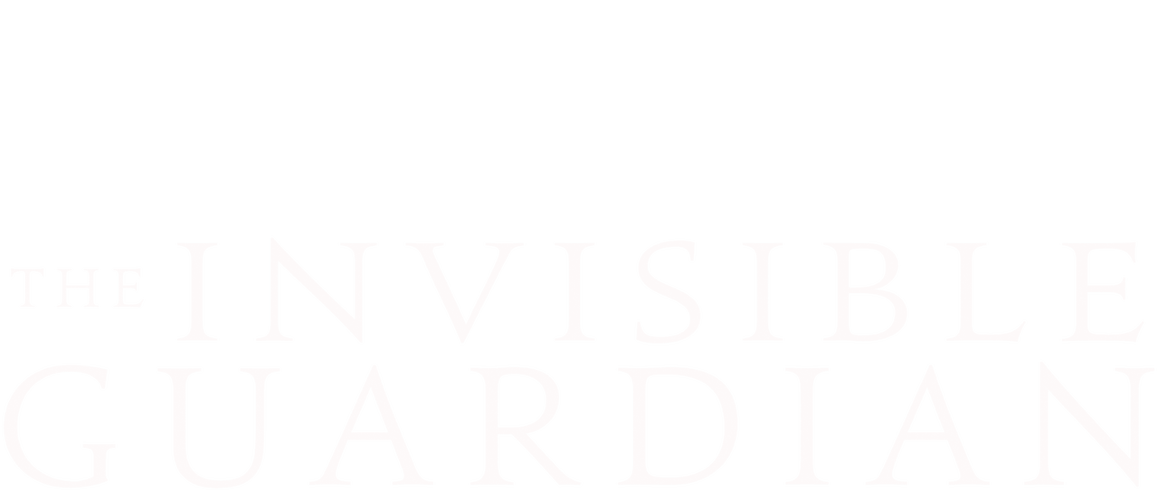 The Invisible Guardian Netflix The Invisible Guardian Netflix
