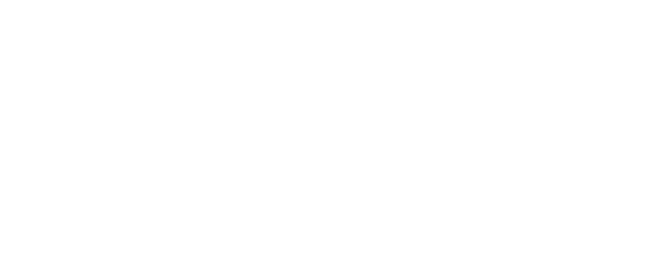 Our Idiot Brother Netflix