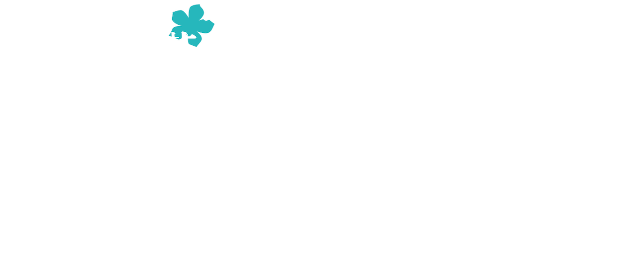 あの日見た花の名前を僕達はまだ知らない Netflix あの日見た花の名前を僕達はまだ知らない Netflix